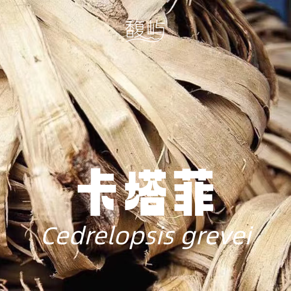 卡塔菲